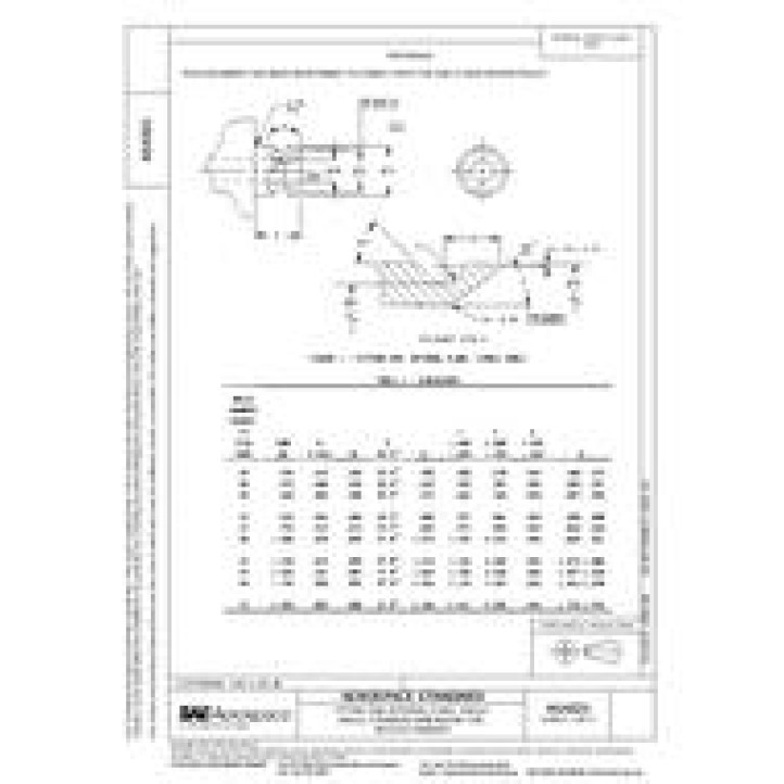 SAE AS4321 PDF