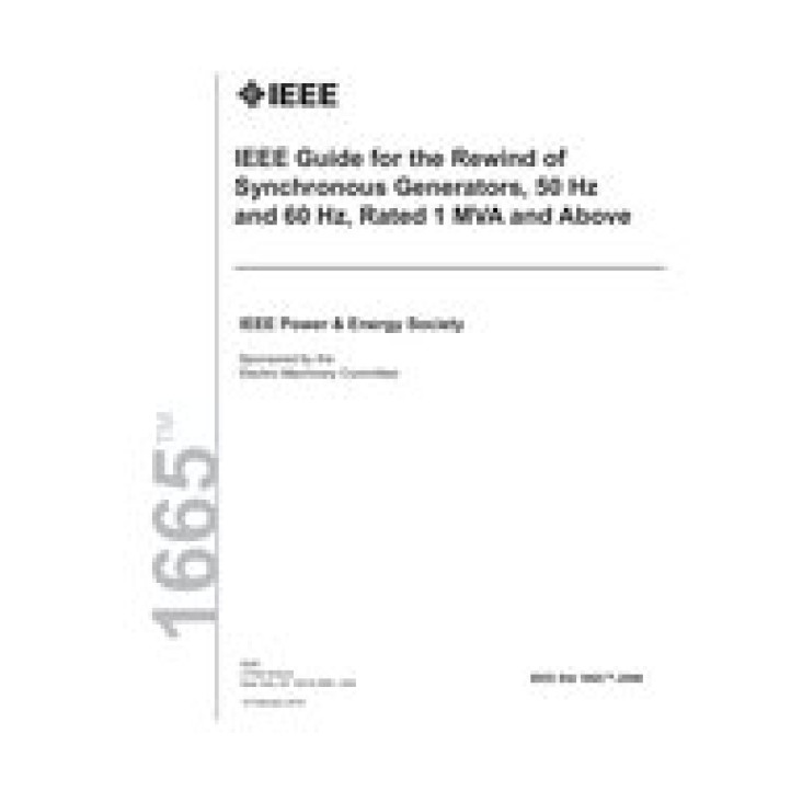 IEEE 1665 PDF