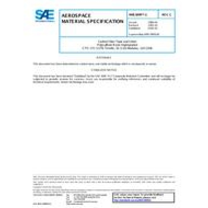 SAE AMS3899/1C PDF