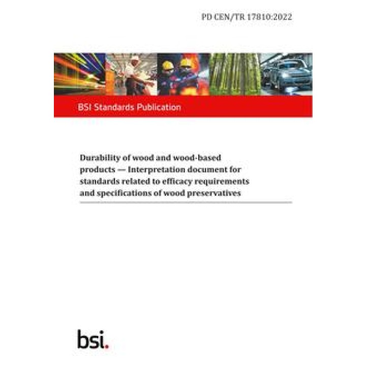 BS PD CEN/TR 17810 PDF