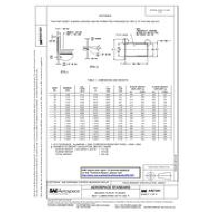 SAE AS21241 PDF