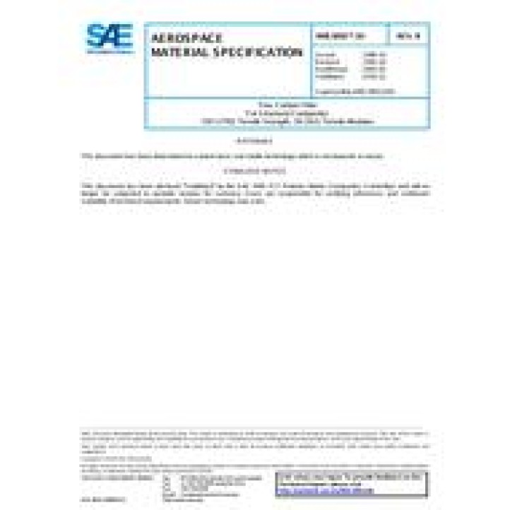 SAE AMS3892/10B PDF