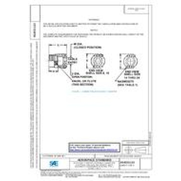 SAE AS81511/13 PDF