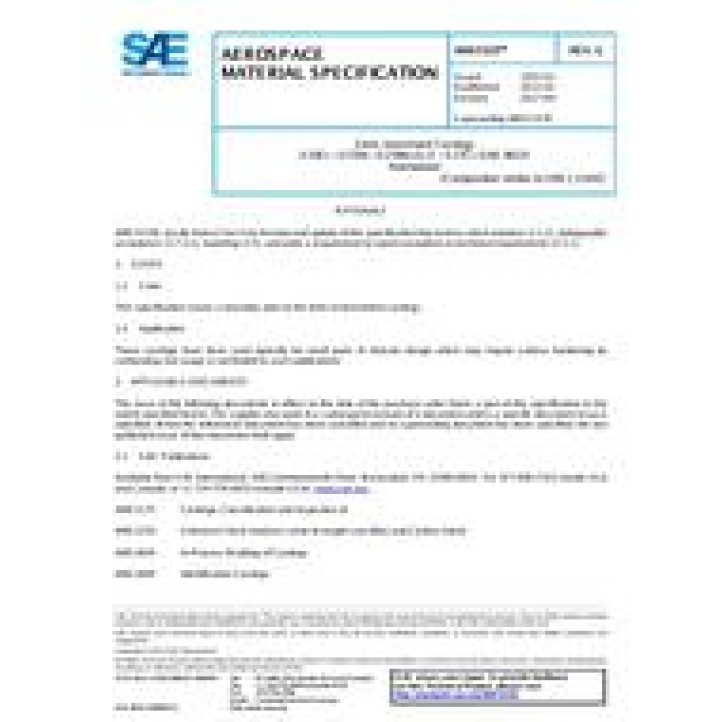 SAE AMS5333G PDF