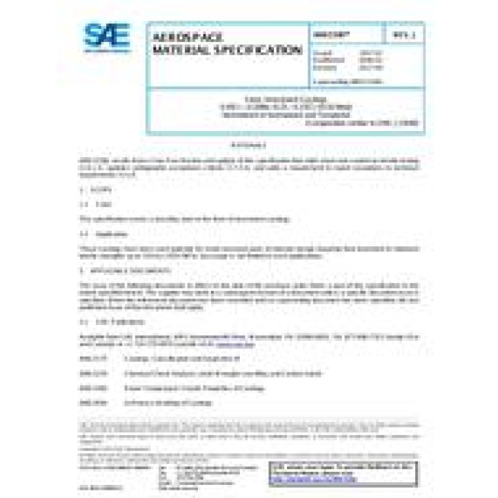 SAE AMS5336J PDF