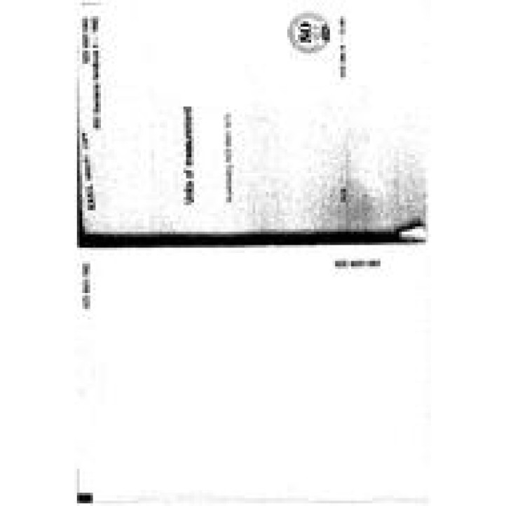 NZS 6501 PDF