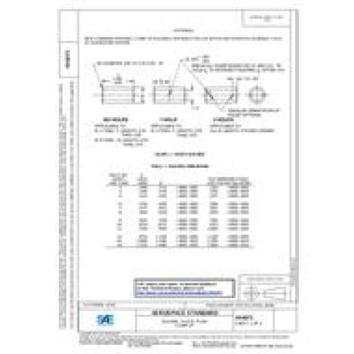 SAE AS6071 PDF