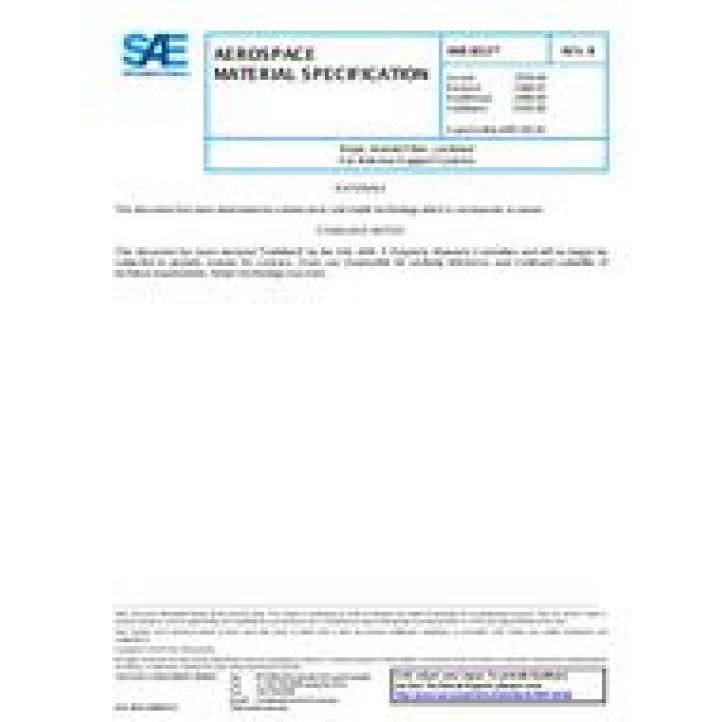 SAE AMS3813B PDF