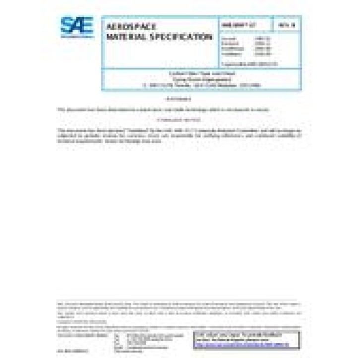 SAE AMS3894/17B PDF