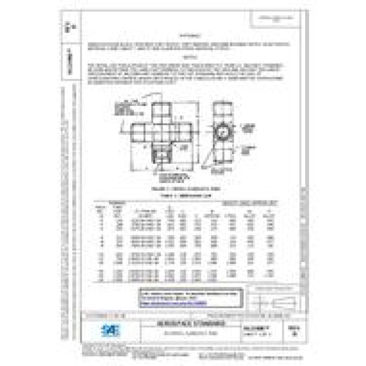 SAE AS21906D PDF