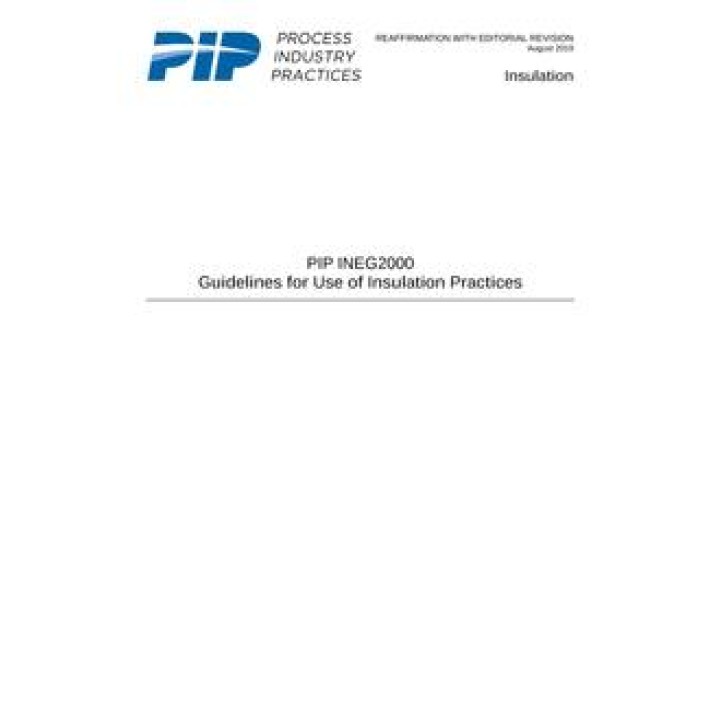 PIP INEG2000 PDF