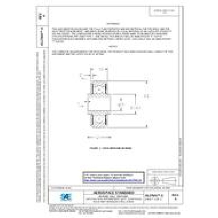 SAE AS27641/1A PDF