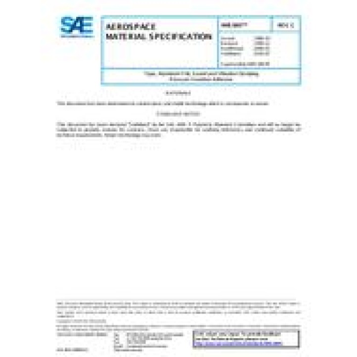 SAE AMS3807C PDF